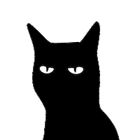 Looking Black Cat Sticker