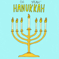 Sean Solomon Jewish GIF by gifnews