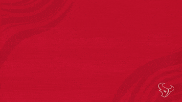 Nfl Mascot GIF by Houston Texans