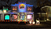 GIF by AtmosFX Digital Decorations