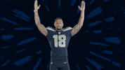 American Football GIF by Seattle Seahawks