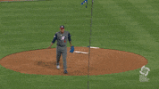 Shimmying Team Usa GIF by MLB
