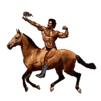 42-BELOW flex vodka kiwi horseback Sticker