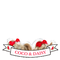 Watermelon Dog Sticker