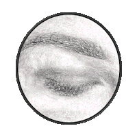 beautybynaida beauty wink eyebrow beautysalon Sticker