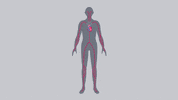bhfsocialmedia heart brain body diagram GIF