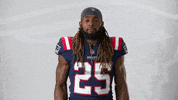 Brandon Bolden Football GIF by New England Patriots