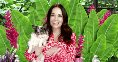 katespadeny kate spade GIF
