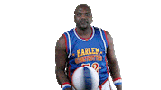 hgsticker by Harlem Globetrotters