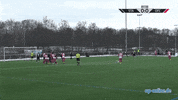 Goal Tor GIF by 3ECKE11ER