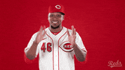 GIF by Cincinnati Reds
