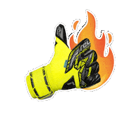 Gk Goalkeeping Sticker by Reusch