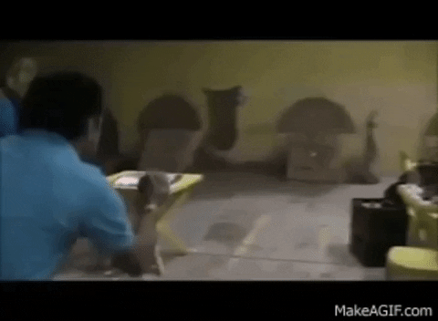cherrymontagouth  GIF
