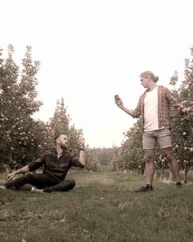 funkcider drink apple cider orchard GIF