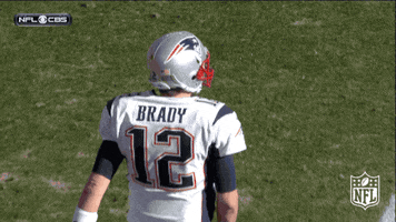 New England Patriots Football GIF by NFL