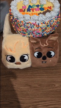 Stray Kids GIF