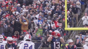 Mack Hollins Football GIF by New England Patriots