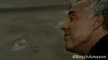 season 3 GIF by Bosch