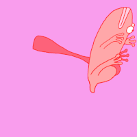 Friendship Frog GIF by Shane Beam