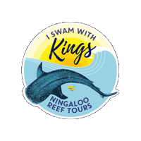 KingsNingaloo kings mantaray exmouth ningaloo Sticker