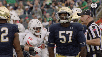 Nodding Yes GIF by Notre Dame Fighting Irish