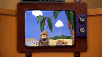 Monkey on TV