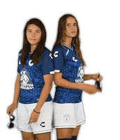 Liga Mx Cf Pachuca Sticker by Club Pachuca Tuzos