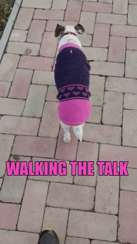 KreativCopywriting walking care wiggle cute dog GIF