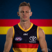 david mackay afl GIF by Adelaide Crows