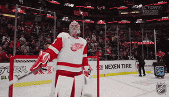 Anaheim Ducks Hockey GIF by NHL