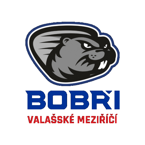 hcbobri giphygifmaker valmez valasskemezirici bobri Sticker