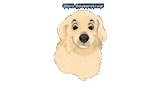 Hiro Sticker