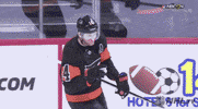 nhl sports hockey nhl high five GIF