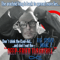 Art Spiders GIF by NACHTSCHIMMEN Music-Theatre-Language NIGHTSHADES