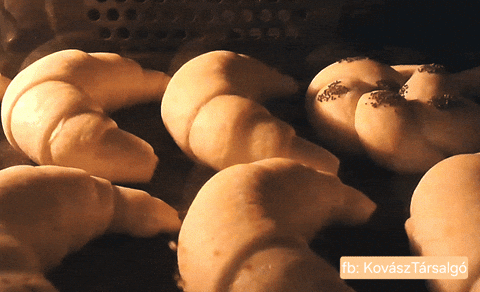 Growing Bread Rolls GIF