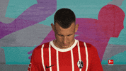 Scf Eggestein GIF by Bundesliga