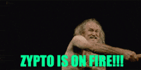 Excited On Fire GIF by Zypto