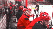 Happy Carolina Hurricanes GIF by NHL