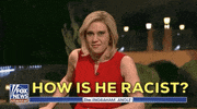 how is he racist kate mckinnon GIF by Saturday Night Live