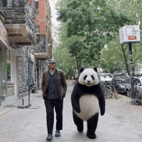 Sad Panda GIF by Akyn Machine