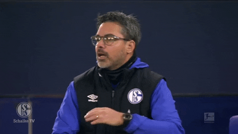 Football Soccer GIF by FC Schalke 04