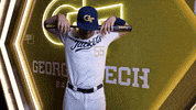 Georgia Tech Baseball GIF by Georgia Tech Yellow Jackets