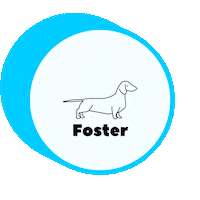 waggytailrescue adoptdontshop rescue dog fosterdog waggytail Sticker