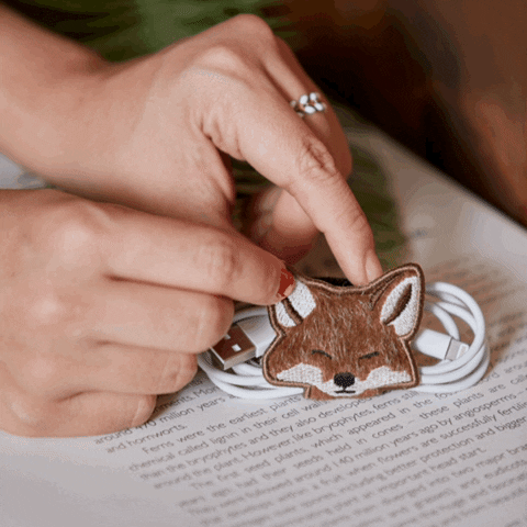 kornnisamongkolpornu-dom giphyupload GIF