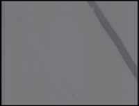 anthony green rites of investiture GIF by Circa Survive