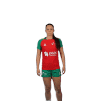 Andebolportugal Sticker by Federação de Andebol de Portugal