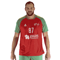 Ehfeuro Sticker by Federação de Andebol de Portugal