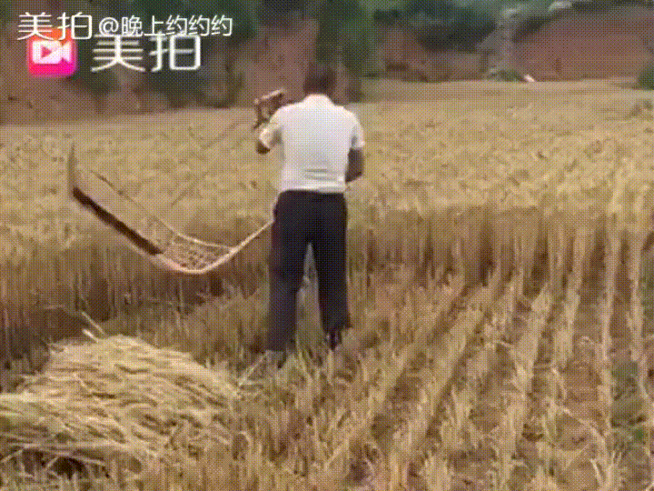 perfect loops harvest GIF