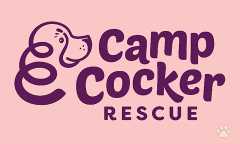 Campcocker2025 GIF by Camp Cocker Rescue
