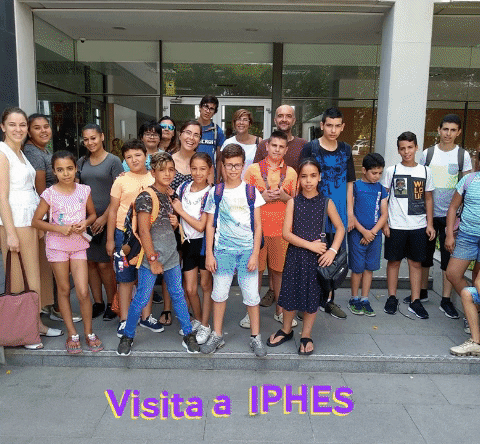 IEMediterrani giphyupload GIF